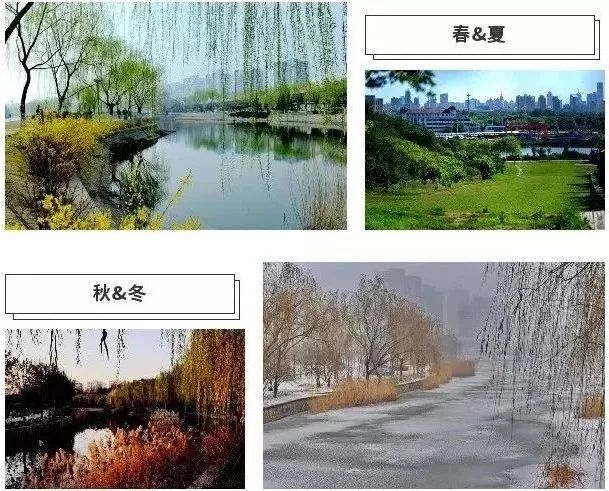 城事丨天津竟然有这么多免费公园可逛，趁假期最后一天赶紧去逛逛吧！