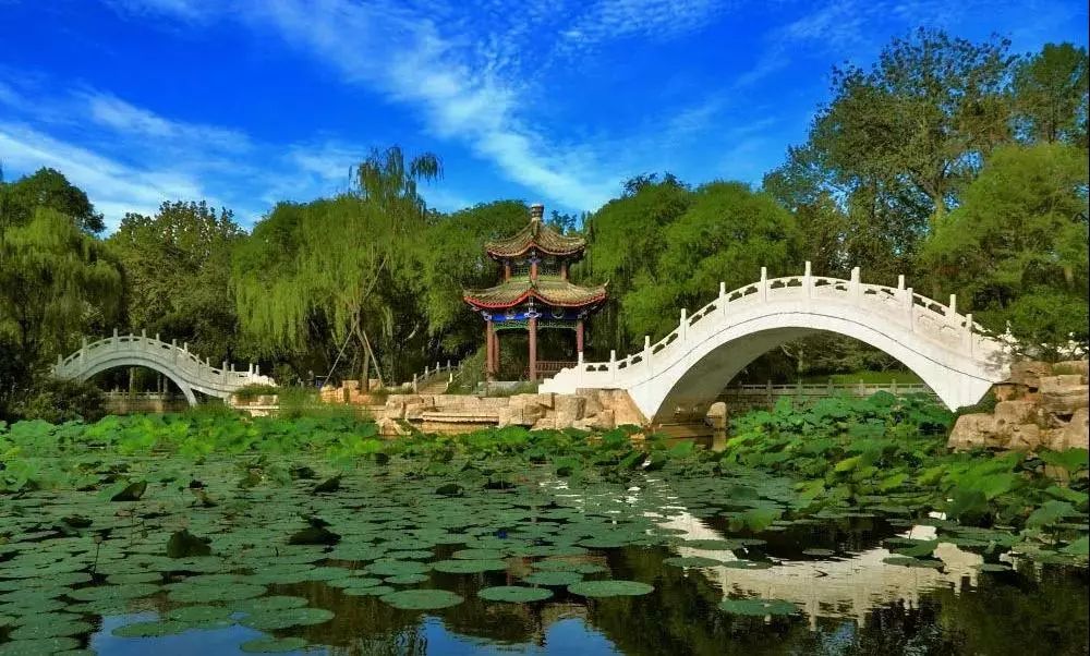 城事丨天津竟然有这么多免费公园可逛，趁假期最后一天赶紧去逛逛吧！