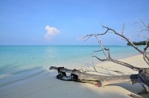 亚庇回国攻略,亚庇可以怎么逛