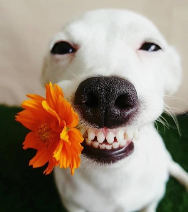 噎死人的雷人语句,能噎死人的幽默短句