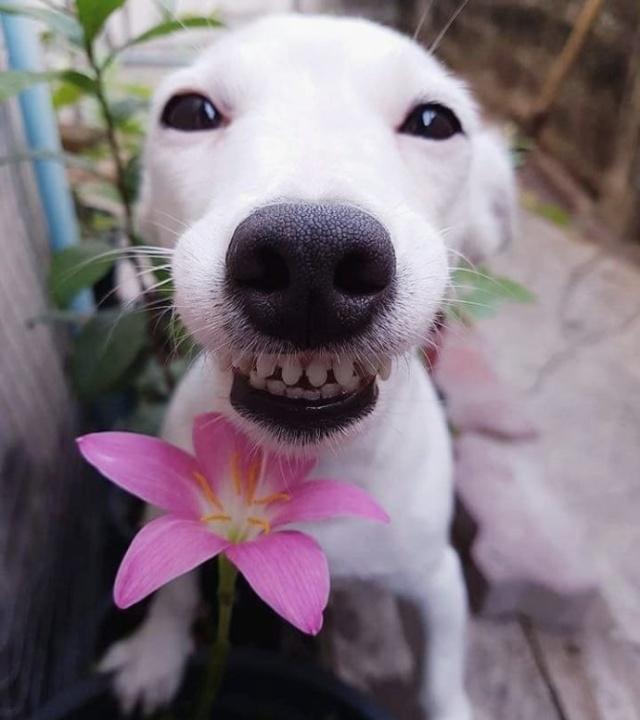 噎死人的雷人语句,能噎死人的幽默短句