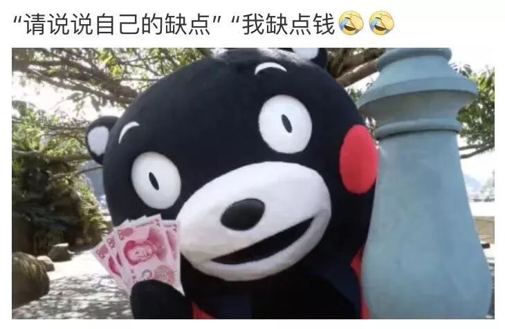 闲聊多肉大军四川“兵团”川南支队养肉记！