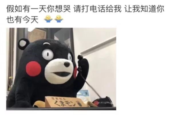 闲聊多肉大军四川“兵团”川南支队养肉记！