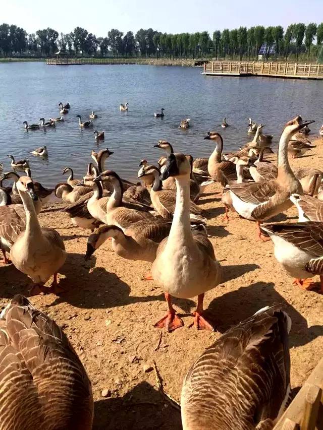 鲅鱼圈几月份适合旅行,鲅鱼圈下雨天适合去哪里玩