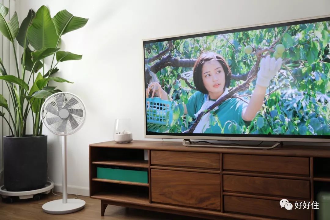 50间家具店铺推荐,精品家居家纺家电店