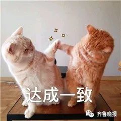 灰绿还是粉白？几年过去了，因为这只鞋子的颜色，网友们又吵起来了