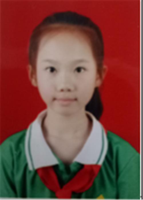 2023年度新时代好少年表,关于湛江市新时代好少年视频