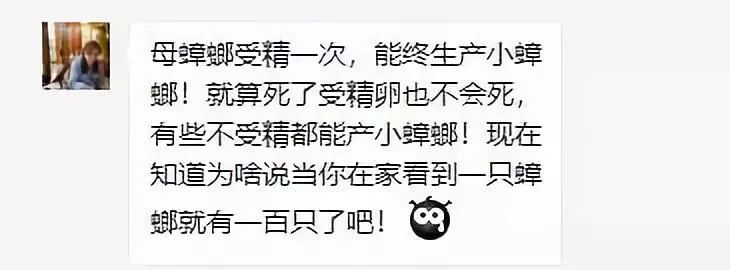 轻轻一贴蟑螂一窝端,广州蟑螂怎么消灭