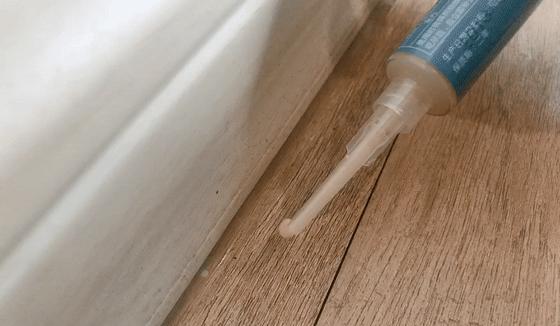 轻轻一贴蟑螂一窝端,广州蟑螂怎么消灭