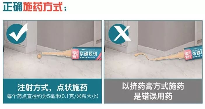 轻轻一贴蟑螂一窝端,广州蟑螂怎么消灭