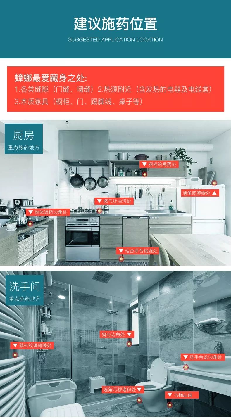 轻轻一贴蟑螂一窝端,广州蟑螂怎么消灭