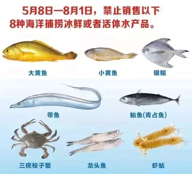 皮皮虾等8种海鲜，今天起金华禁售！别担心，还有这些初夏小美好→