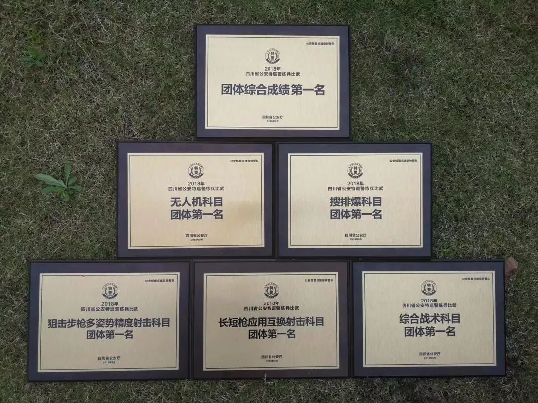 成都市公安局特警支队,成都特警深夜检查