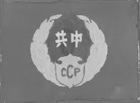 党旗演变是什么意思,党旗的演变完整视频