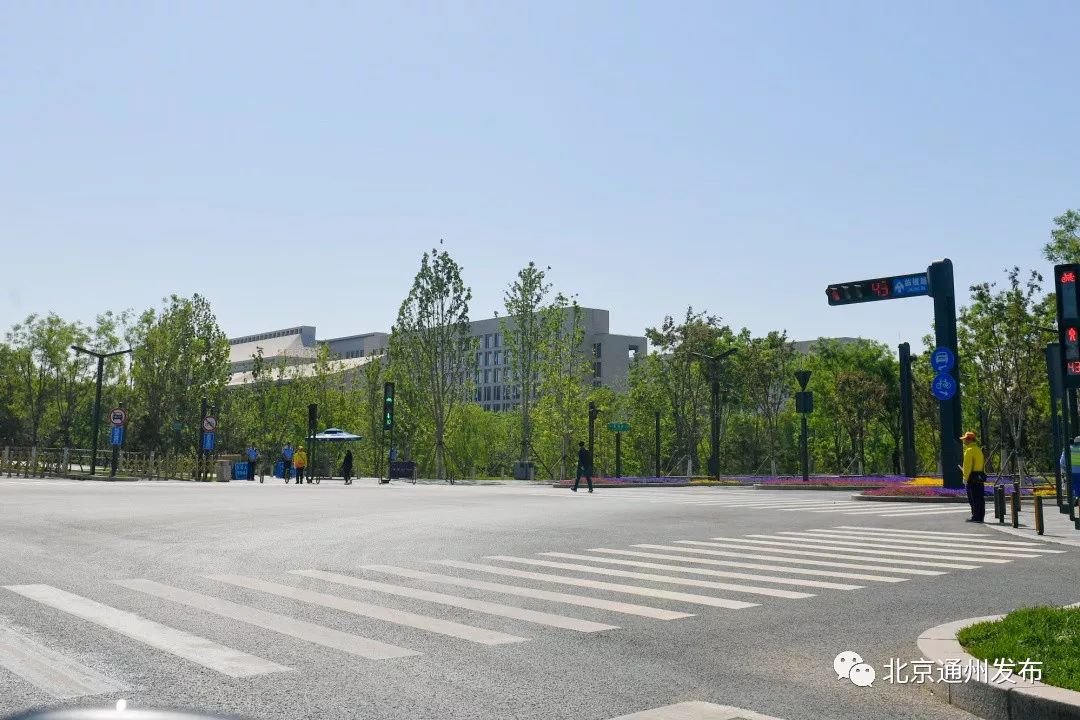 最美赛道来啦！在花香中奔跑！通州运河半马沿途美景抢先看~