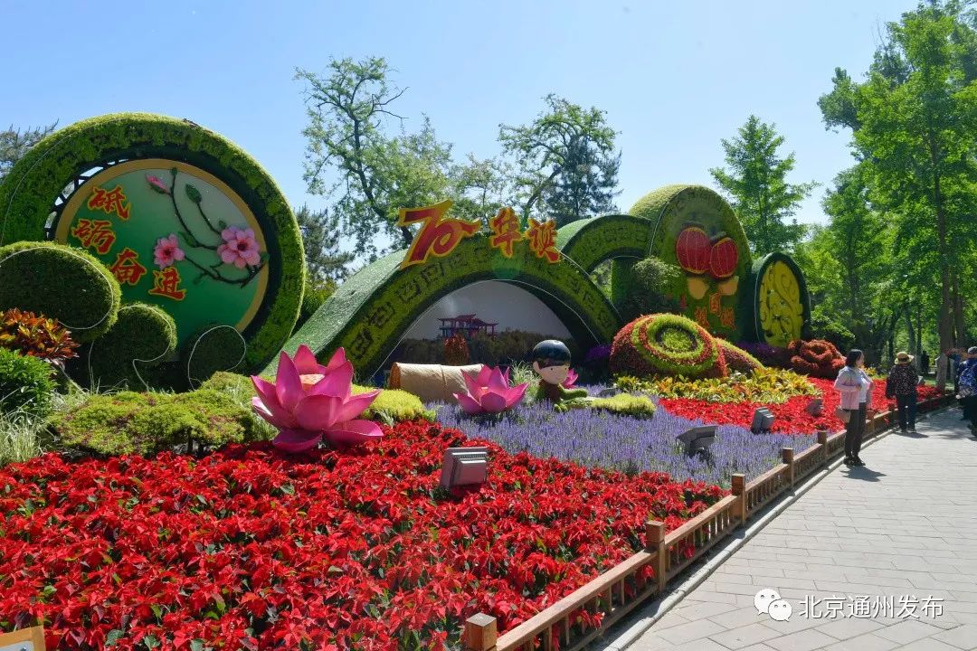 最美赛道来啦！在花香中奔跑！通州运河半马沿途美景抢先看~