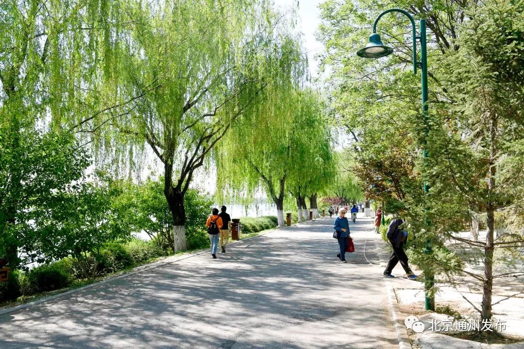 最美赛道来啦！在花香中奔跑！通州运河半马沿途美景抢先看~