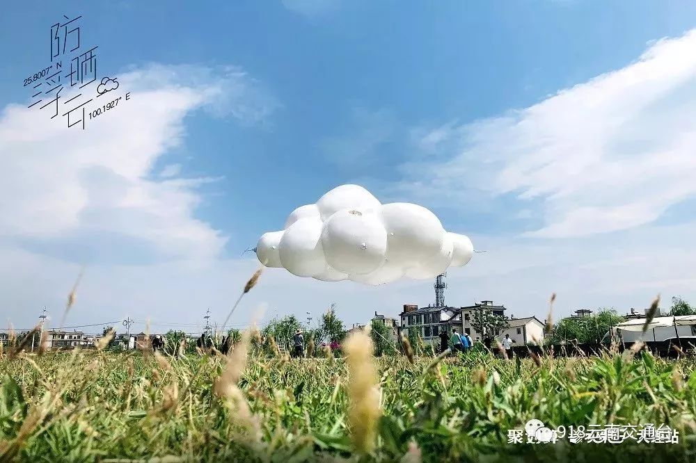 暴晒的大理飘来“防晒浮云”？快围观这一波入夏神操作！