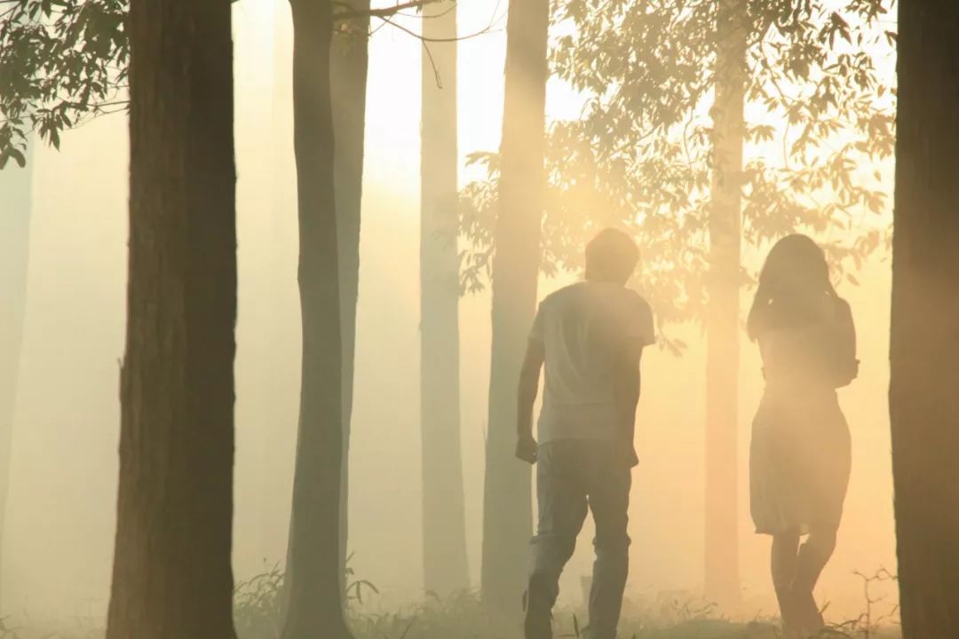 村上春树拒绝生育是真的吗,村上春树拒绝吃中国菜