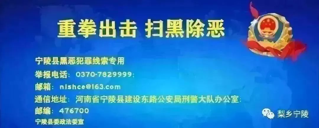 召开民兵整组工作动员部署会新闻,长武县扎实开展基干民兵整组点验