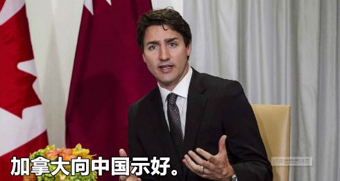 刷新认知的美妆品牌,有影响力的美妆品牌