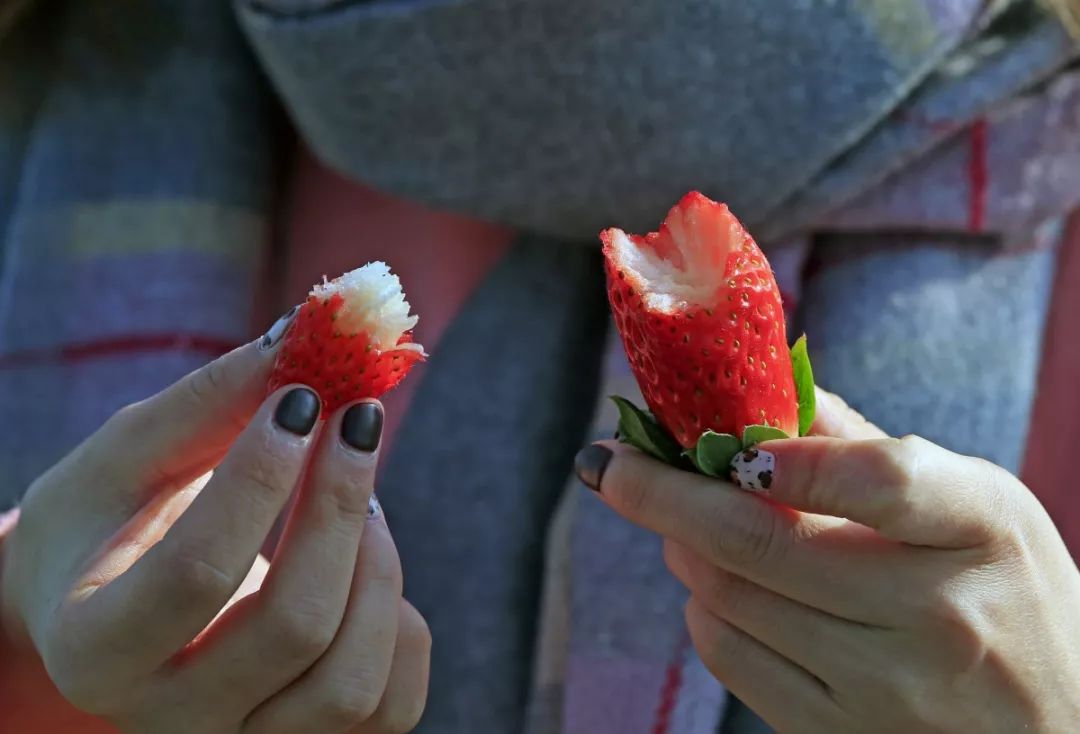 新闻联播等央视栏目，一年聚焦西昌N次，西昌狂谢“央妈”的爱！