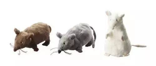 宜家必买收纳玩具,宜家必买宜家碗筷清单