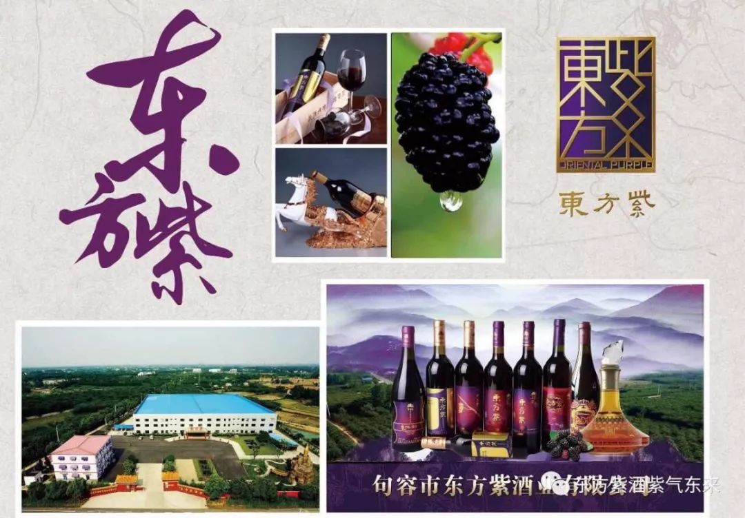 AreYouReady~~~第六届桑果紫酒节火爆来袭！采桑葚，赏演出，如此“葚”好！