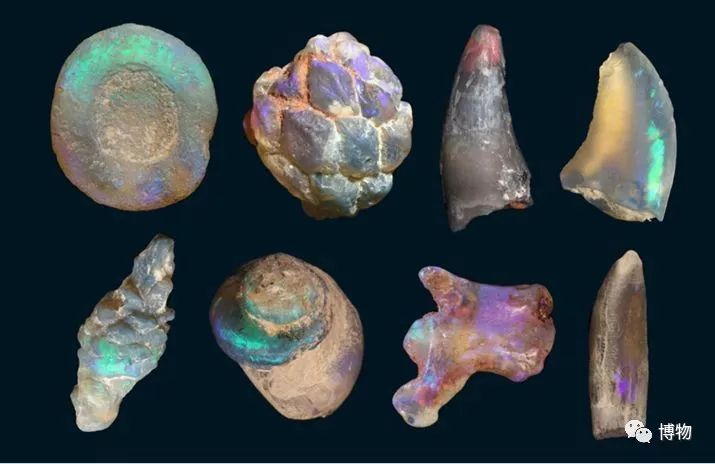 脑子进水了后悔不,脑子进水了掉井里