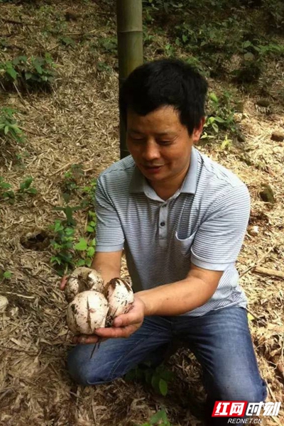 汨罗市梦想,汨罗少年逐梦青春