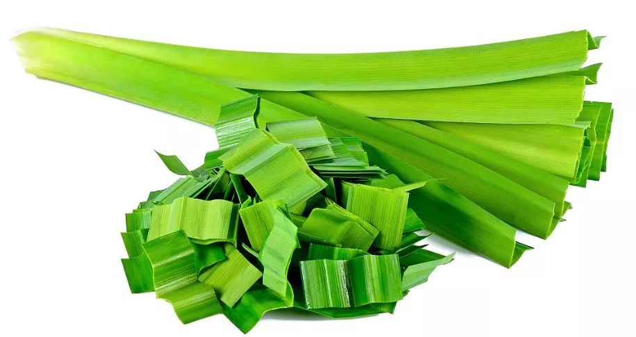 夏季防蚊虫大作战,小窍门实用防蚊虫