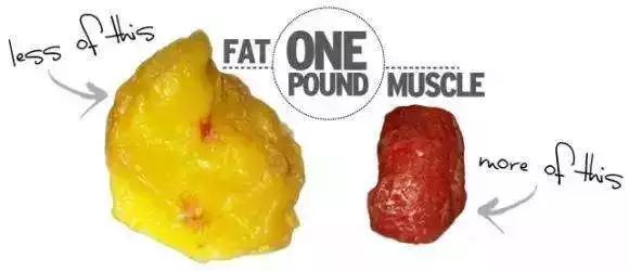 日本“吸油圣斗士”，1天1条，7天瘦出小蛮腰！酸酸甜甜，比果冻还好吃