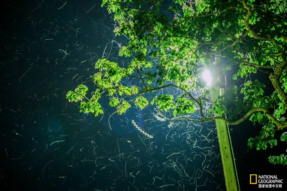 江浙沪隐藏的黑马县城,中国最宁静的小县城