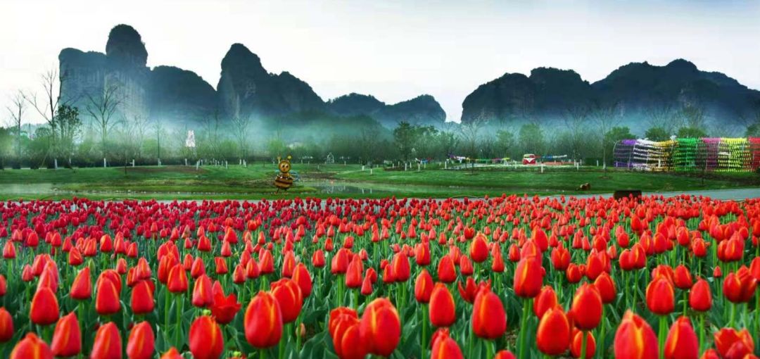 江西4a景区全免费,江西6月哪些景区免费的