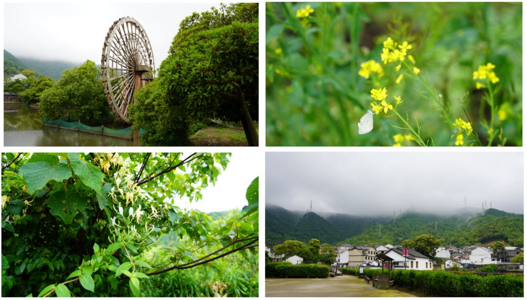 涓虹埍濂旇窇鍏泭褰╃エ,涓虹埍濂旇窇鍏泭娲诲姩2017娣卞湷