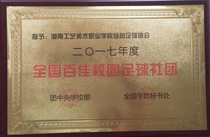湖南工艺美术学院足球,湖南美术学院足球联赛