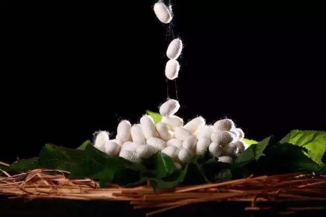 女士有妇科病建议穿什么裤,阴道炎能穿蚕丝抗菌裤吗