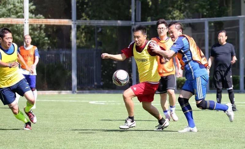 北京101中著名校友,北京101中校友