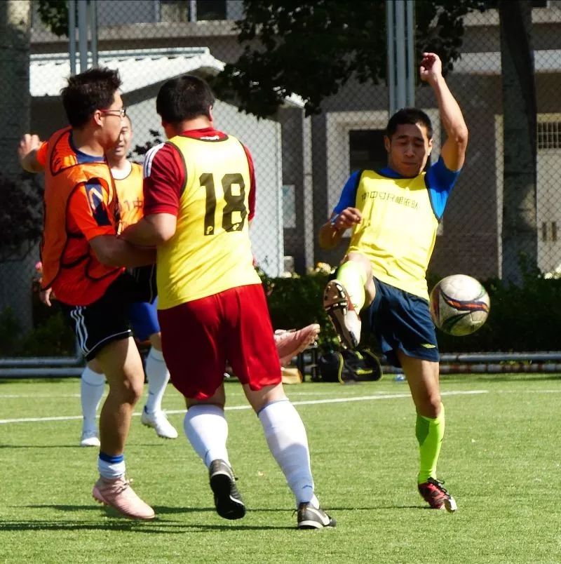 北京101中著名校友,北京101中校友