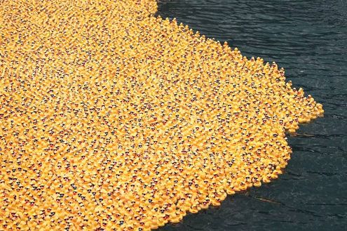 9600万个塑料球被扔进水库，竟是为了给水解毒？！