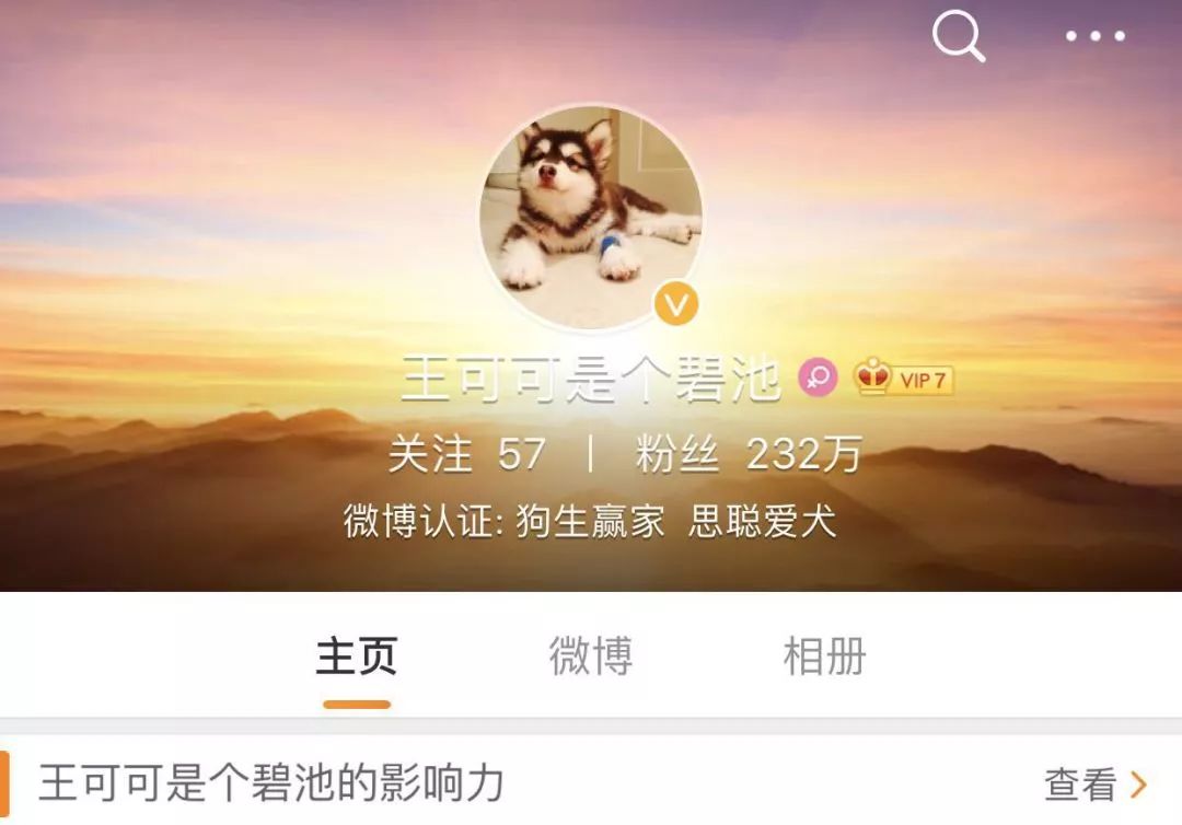 【封面】开宠物店暴利？全案解析宠物洗护美容、食品用品、寄养售卖…揭秘宠物经济令人费解的低收入真相