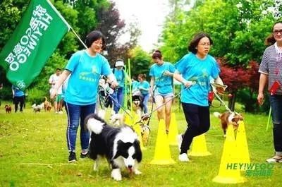 开宠物洗护店一年多少利润,平民养宠物店经营模式