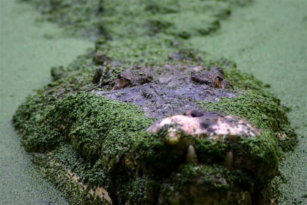 lonelyplanet旅行,lonelyplanet东欧