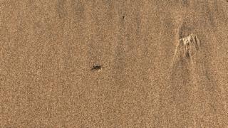 巴厘岛clubmed度假村攻略,巴厘岛clubmed详解