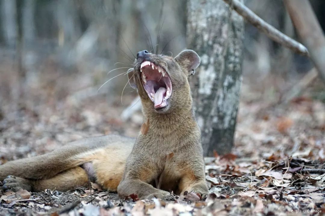 电子签又一国！海景堪比马代，物价却比泰国还低！直飞碾压朋友圈99%好友