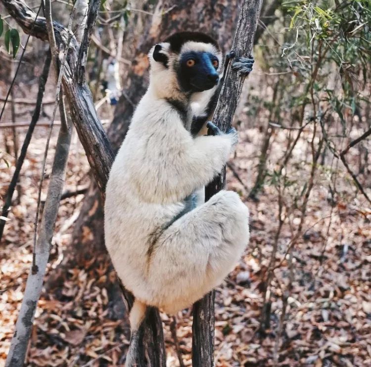 电子签又一国！海景堪比马代，物价却比泰国还低！直飞碾压朋友圈99%好友