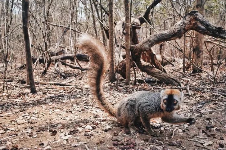 电子签又一国！海景堪比马代，物价却比泰国还低！直飞碾压朋友圈99%好友