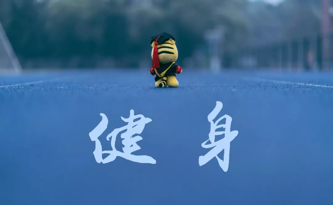 北京运动乐园室内轮滑旱冰场,室内真冰滑冰场设备