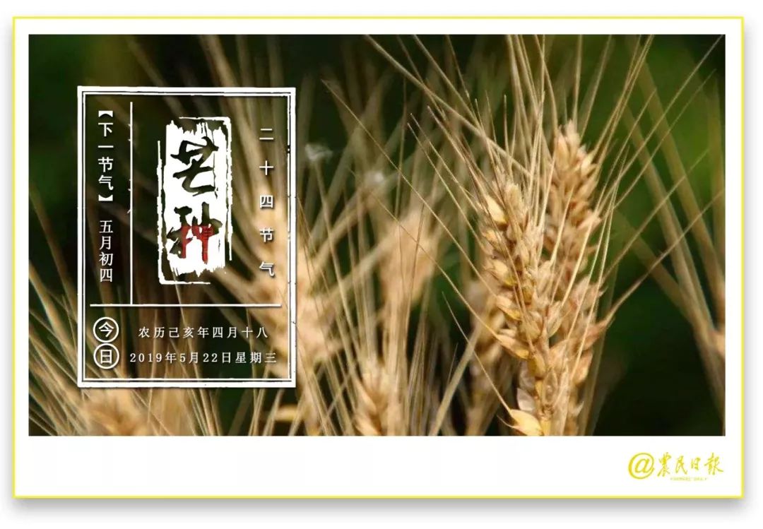 水果自由成网友热议话题,外国网友热评中国水果自由