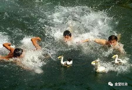 街道龙舟赛视频,龙舟嘉年华集市